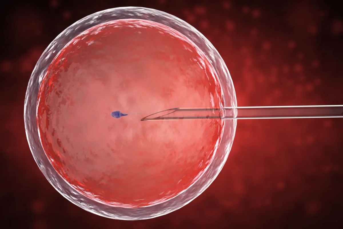 Jak rozpoznać dziecko z in vitro? Mity i fakty o rozwoju dzieci